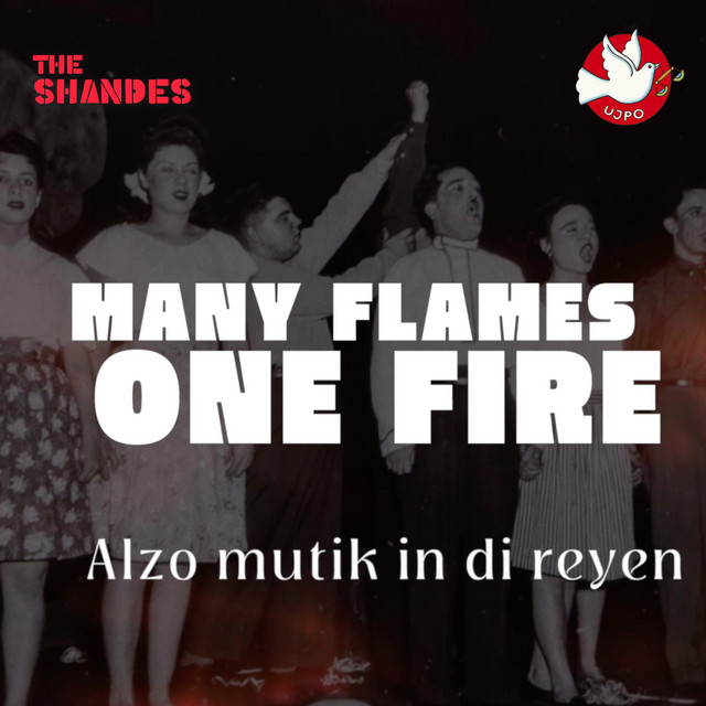 Many Flames One Fire cover art