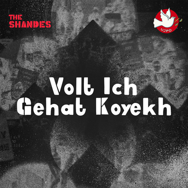 Volt Ich Gehat Koyekh cover art